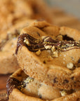 VegNews Cookie Flash Sale!