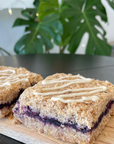 GF Blueberry Oat Bar (12)