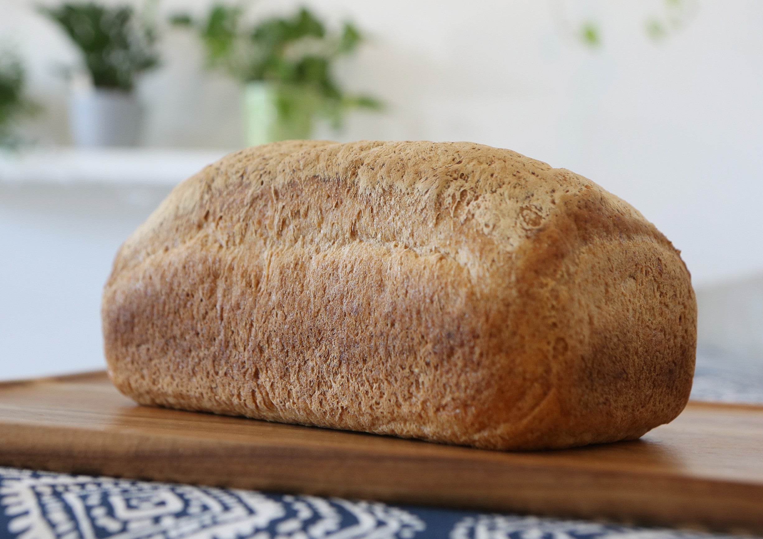 Sandwich Bread Gluten Friendly