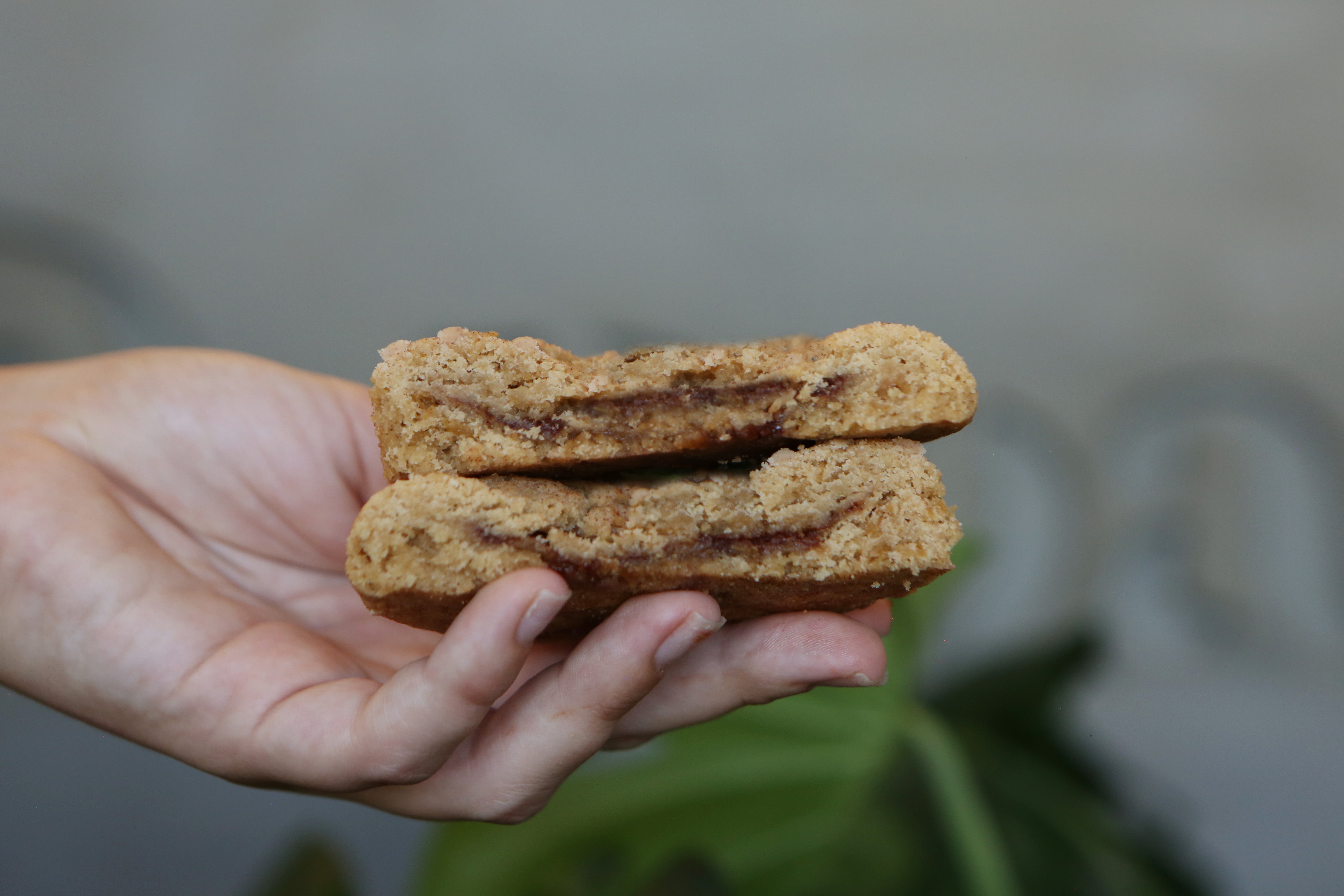 Cookies On The Road (NOW THROUGH SEPTEMBER 30, 2025)