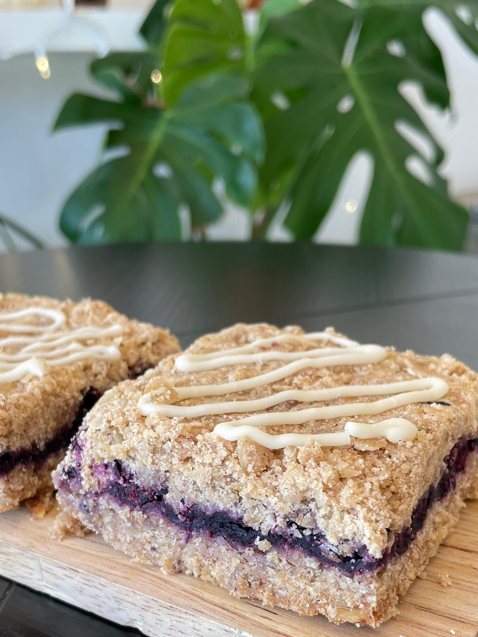 GF Blueberry Oat Bar (12)