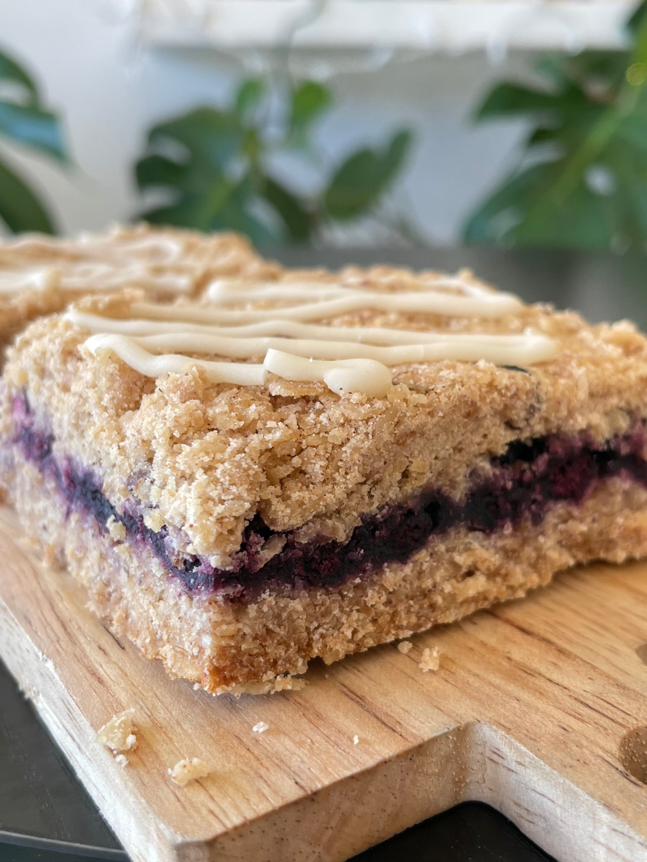 GF Blueberry Oat Bar (12)