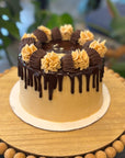 Chocolate Peanut Butter Cake