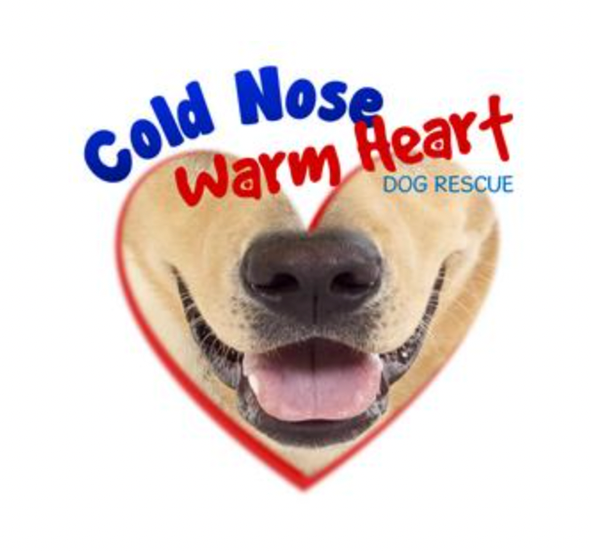 Pet Adoption Event with Cold Nose Warm Heart NJ - June 2, 2024